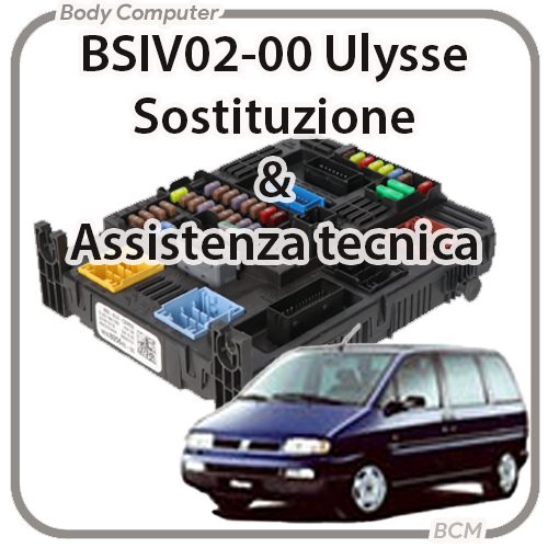 BSIV02-00 RFN / EW10J4 Sostituzione & Assistenza Tecnica