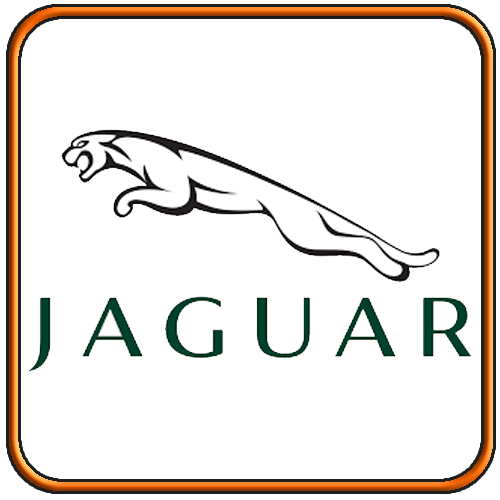 JAGUAR JAGUAR