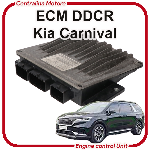 Centralina motore Kia Carnival III DDCR Delphi Centralina motore Kia Carnival III DDCR Delphi