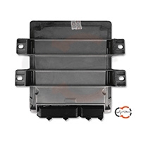 Centralina motore Rover 200 / 25 (2000-2005)