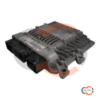 Revisione centralina motore Citroen C3 SID804