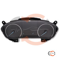 Revisione quadro strumenti Ford Ecosport