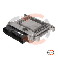 Revisione centralina motore Kia Rio M7.9.8