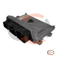 Revisione centralina motore Citroen C2 Valeo V46