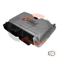 Revisione centralina motore Volkswagen Caddy III ME7.1.1